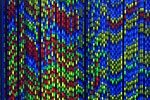 2) Photo: Contrasting DNA sequences.