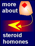 butsteroids.gif (5844 bytes)