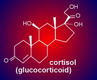 cortisol.gif (4663 bytes)