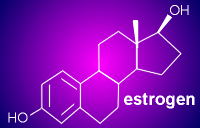 estrogen.gif (4050 bytes)