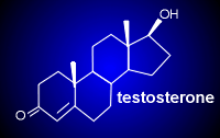 testosterone.gif (3732 bytes)