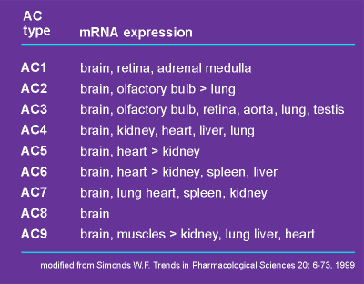 ACexpression.gif (7878 bytes)