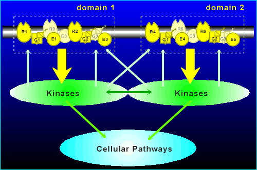 DOMAIN.gif (33016 bytes)