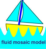 fluid mosaic.gif (5491 bytes)