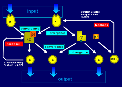 integration.gif (19391 bytes)