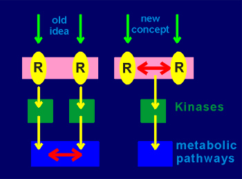 oldnew.gif (9887 bytes)