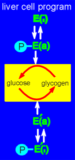 pgm1.gif (7188 bytes)