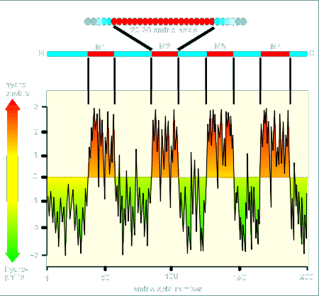 HYPATH.gif (38766 bytes)