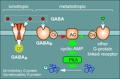 a-versus-b.gif (17465 bytes)