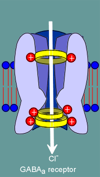 filter5.gif (15552 bytes)