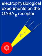 gabaexpbut.gif (4137 bytes)