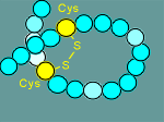 loop3.gif (5284 bytes)