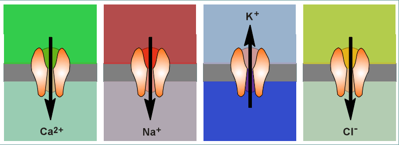 manych.gif (29063 bytes)