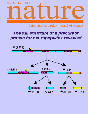 numanature.gif (12432 bytes)