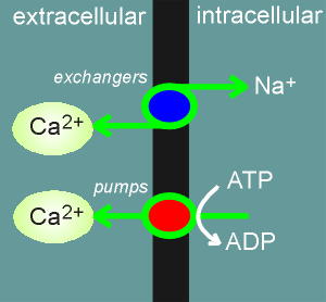 pumps.gif (12127 bytes)