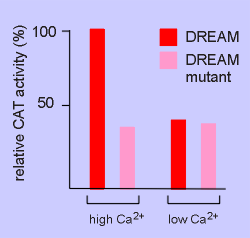 dream results.gif (6144 bytes)