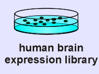 exp library.gif (6534 bytes)